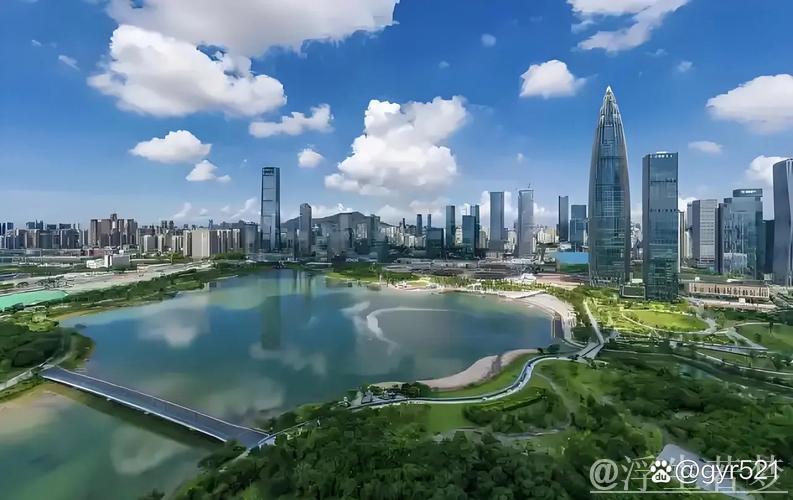 中国更稳更强，全球“磁吸”中心